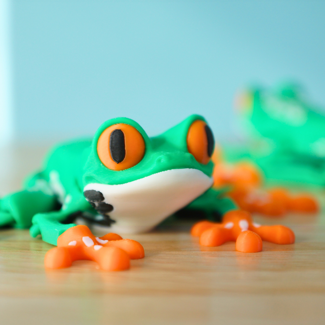 Cute Colorful Tree Frog Articulated Fidget Toy