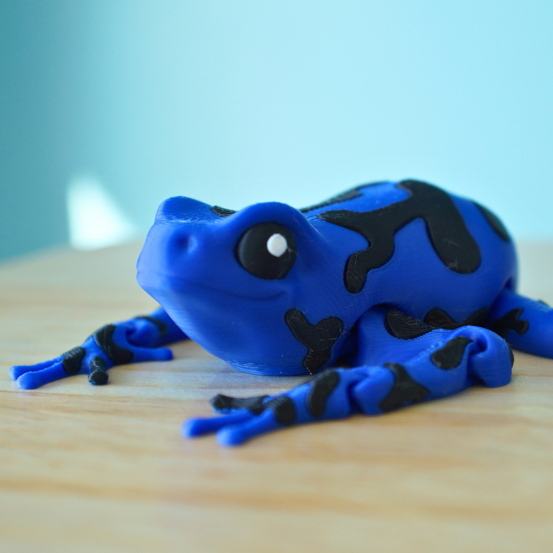 Poison Dart Frog Articulated Fidget Toy