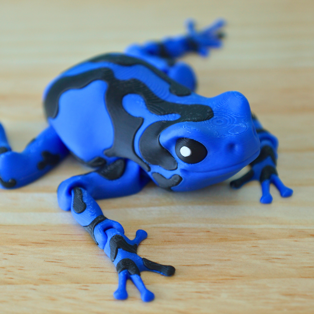 Poison Dart Frog Articulated Fidget Toy