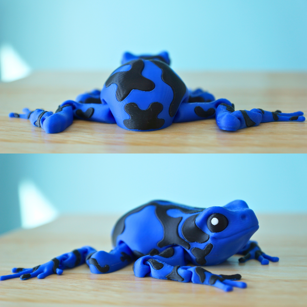 Poison Dart Frog Articulated Fidget Toy