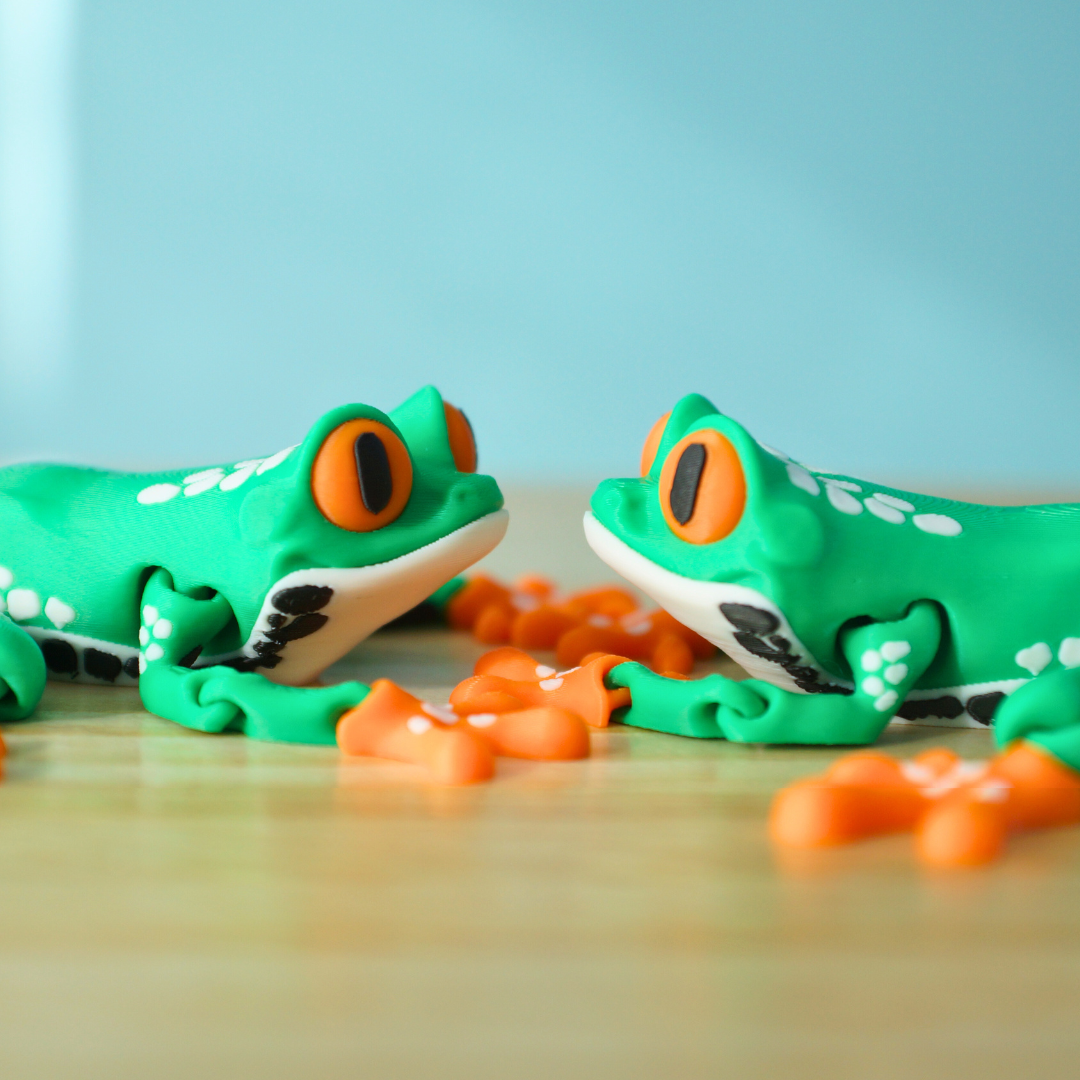 Cute Colorful Tree Frog Articulated Fidget Toy