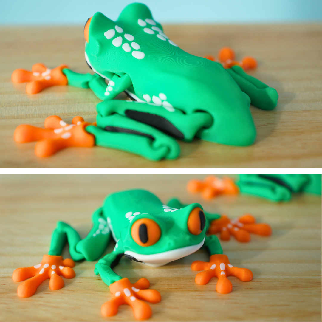 Cute Colorful Tree Frog Articulated Fidget Toy