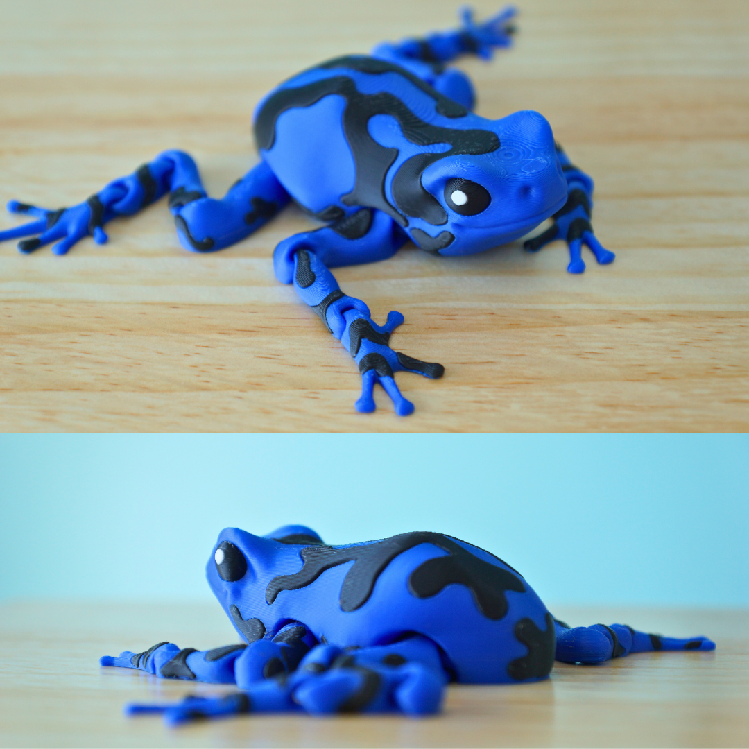 Poison Dart Frog Articulated Fidget Toy