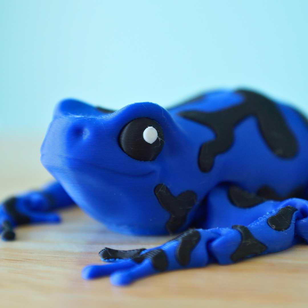 Poison Dart Frog Articulated Fidget Toy