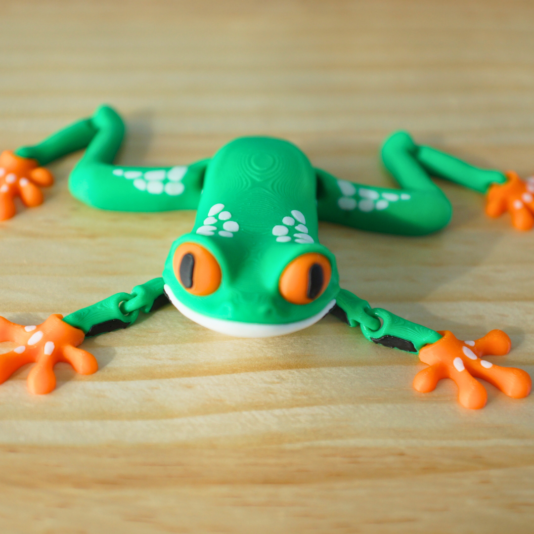 Cute Colorful Tree Frog Articulated Fidget Toy